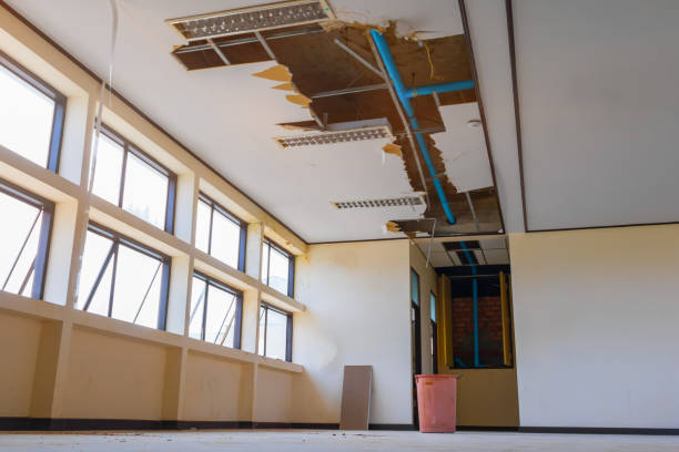Best Water damage mitigation services  in Somerset, OH
