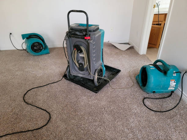 Best Emergency water damage restoration  in Somerset, OH