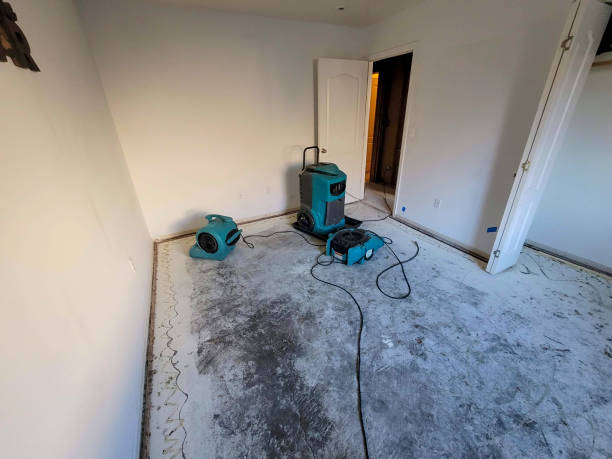 Best Local water damage restoration  in Somerset, OH