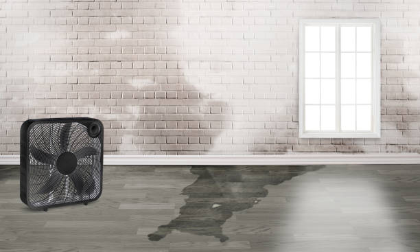 Best Commercial water damage restoration  in Somerset, OH