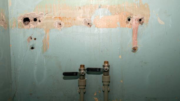 Best Professional water damage repair  in Somerset, OH