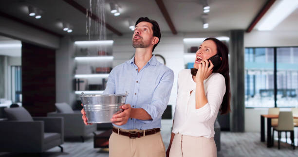 Best Water damage restoration near me  in Somerset, OH